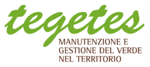 Manutenzione parchi e giardini Treviso, Venezia e Pordenone | Tegetes